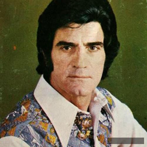 دانلود آهنگ همه دنیا رو دیدم تا به اینجا رسیدم ویگن