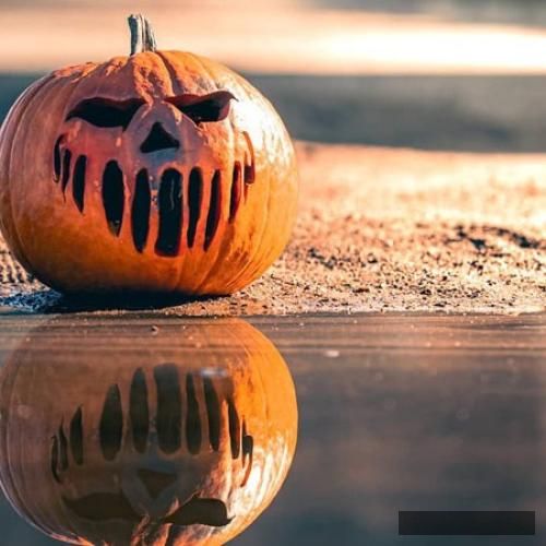 دانلود آهنگ مارو از هیچی نترسون هالووین پارتی بیا کمر و بلرزون علیرضا وارسته