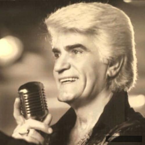 دانلود آهنگ زن ایرونی تکه خوشکل و با نمکه ویگن