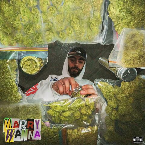 دانلود آهنگ مری وانا امین تی جی