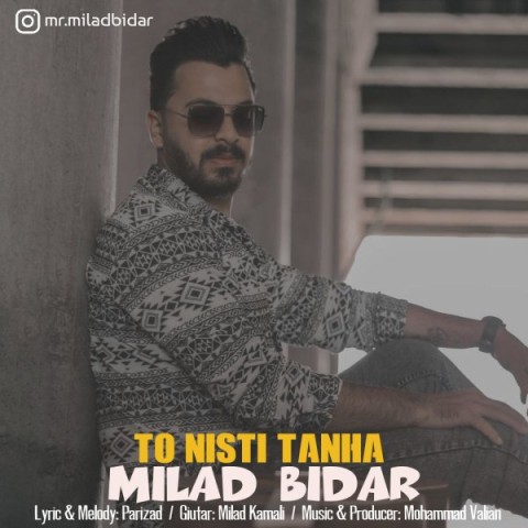 دانلود آهنگ تو نیستی تنها میلاد بیدار