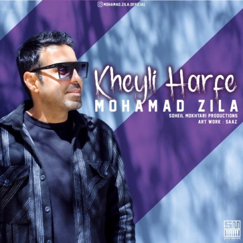 دانلود آهنگ خیلی حرفه محمد زیلا