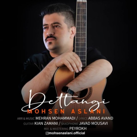 دانلود آهنگ دلتنگی محسن اصلانی