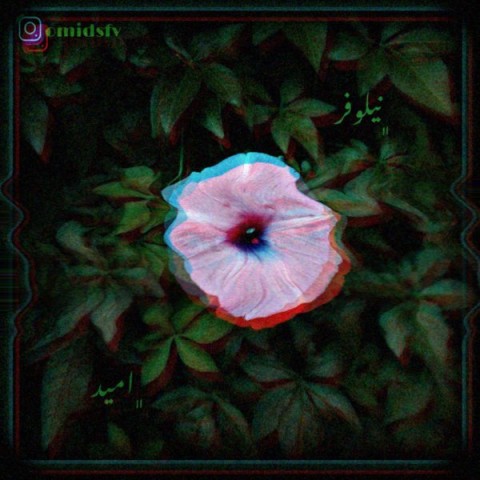 دانلود آهنگ نیلوفر امید