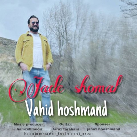 دانلود آهنگ جاده شمال وحید هوشمند