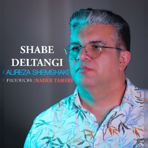 دانلود آهنگ شب دلتنگی علیرضا شمشکی