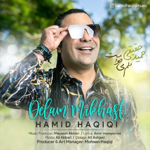 دانلود آهنگ دلم می خواست حمید حقیقی