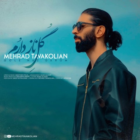دانلود آهنگ گل ناز دارم مهراد توکلیان