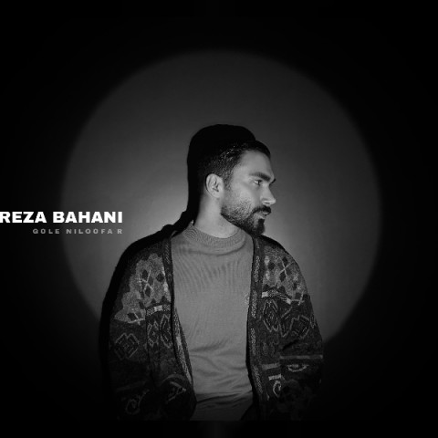 دانلود آهنگ گل نیلوفر رضا بهانی