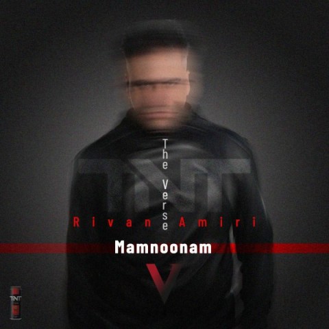 دانلود آهنگ ممنونم ریوان امیری