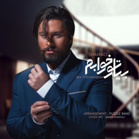 دانلود آهنگ بیا تو خوابم شانیکو