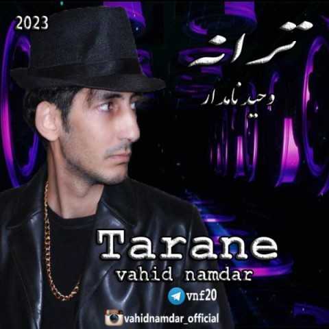 دانلود آهنگ ترانه وحید نامدار