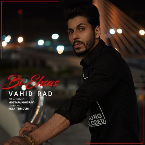 دانلود آهنگ بی احساس وحید راد