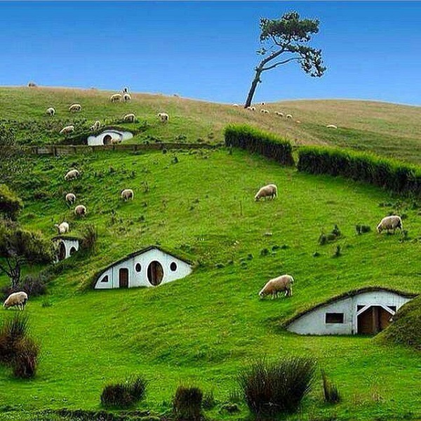 دانلود آهنگ گذشتم راحت از گذشتت منم میگم راحت از من گذشت رفت ناشناس