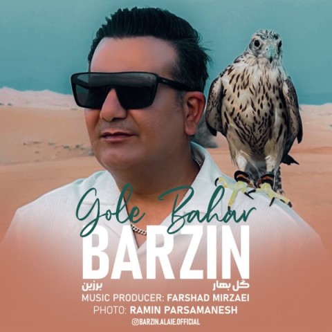 دانلود آهنگ گل بهار برزین