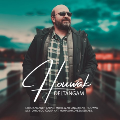 دانلود آهنگ دلتنگم هوواک