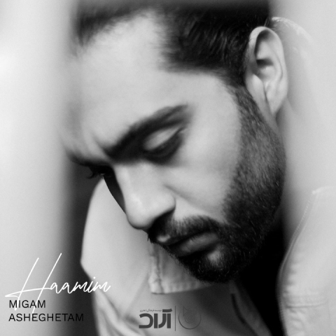 دانلود آهنگ میگم عاشقتم حامیم  