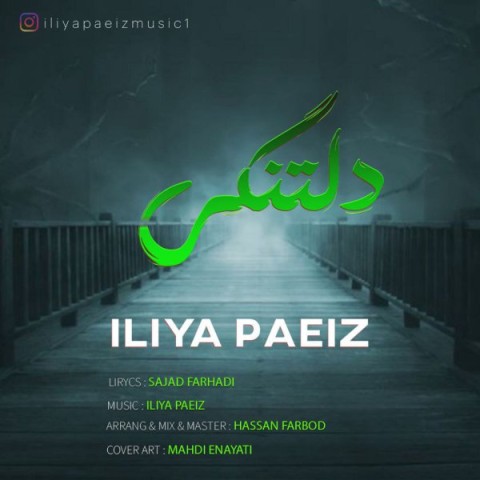 دانلود آهنگ دلتنگی ایلیا پاییز 