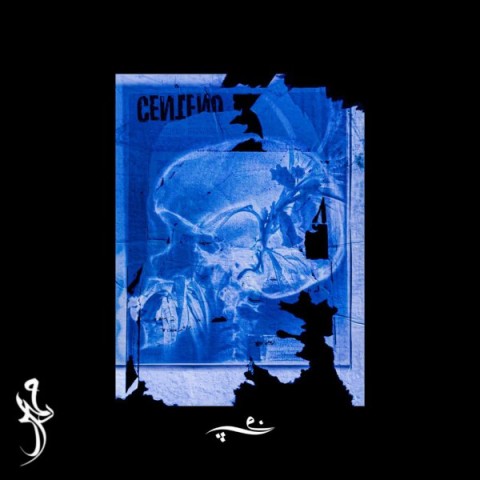 دانلود آهنگ شکوفه مهرداد 