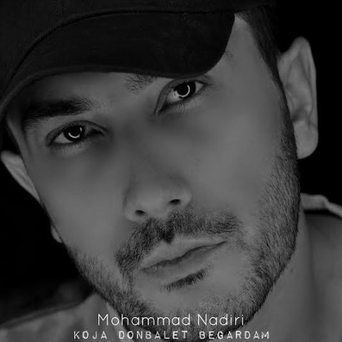 دانلود آهنگ کجا دنبالت بگردم محمد ندیری