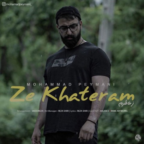 دانلود آهنگ ز خاطرم محمد پیمانی