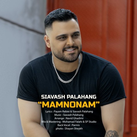 دانلود آهنگ ممنونم سیاوش پالاهنگ