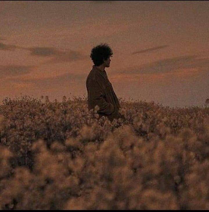 دانلود آهنگ بهت حسم زیاده حست چه زیاد باشه چه کم مهیار