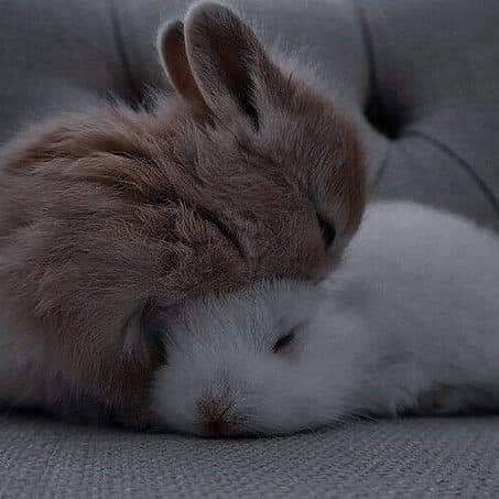 دانلود آهنگ من رفتم تا یکی‌ دیگه بشه سلکت وقتی‌ حرمت ها شکست تو سریع بده بره آرتا