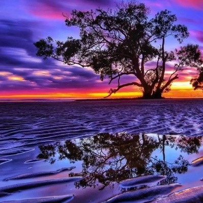 دانلود آهنگ میخکوب صندلیت شو ایندفعه با منه شو نگین فضلی