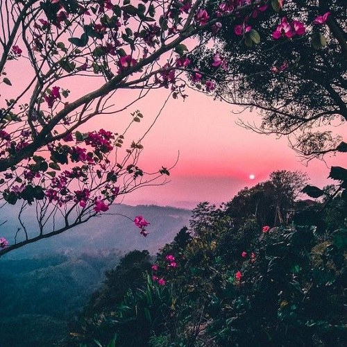 دانلود آهنگ بریم توش بسازیم کلبمون رو از همه قایم کنیم غصمونو د دان