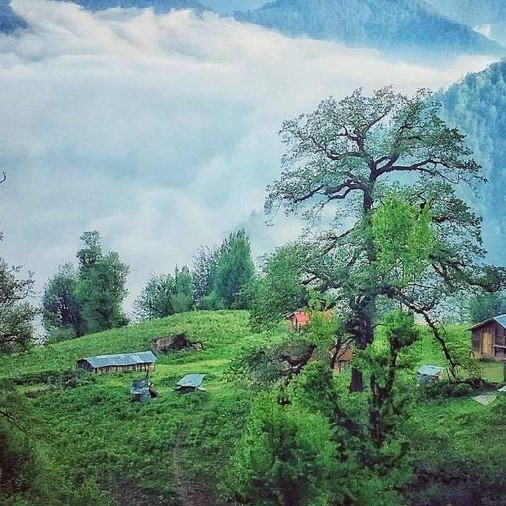 دانلود آهنگ حاجی فاز کول بگیر اومدم با سر لا این همه غول نگین فضلی