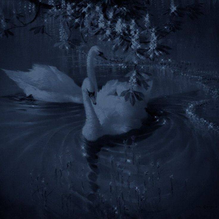 دانلود آهنگ he's keeper he's believer Sofia Isella