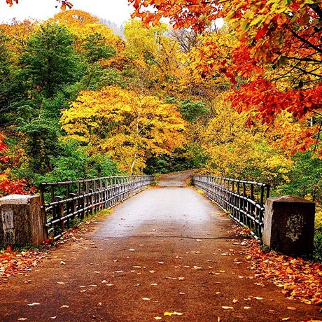 دانلود آهنگ من حالم از آدما بهم میخوره تموم بدنم رده یه تیغه هیپهاپولوژیست