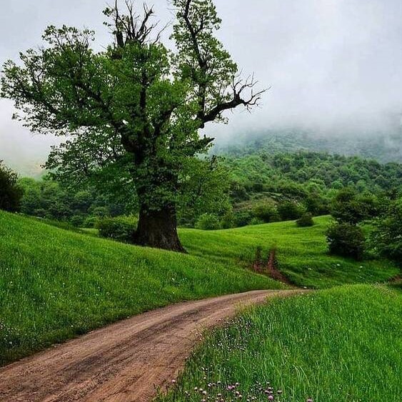 دانلود آهنگ الله الله نگین فضلی