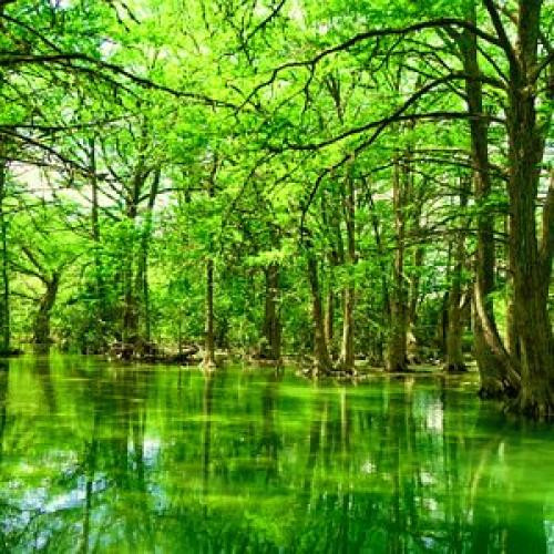 دانلود آهنگ وقتی میای دیدنم همه فکرم اینه باشه چی تنم Amir Liam