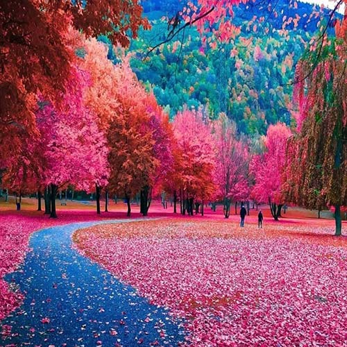 دانلود آهنگ بیبی چه هاته شکلاته تسته کوکوناته شکلاته برسامین و مصباح