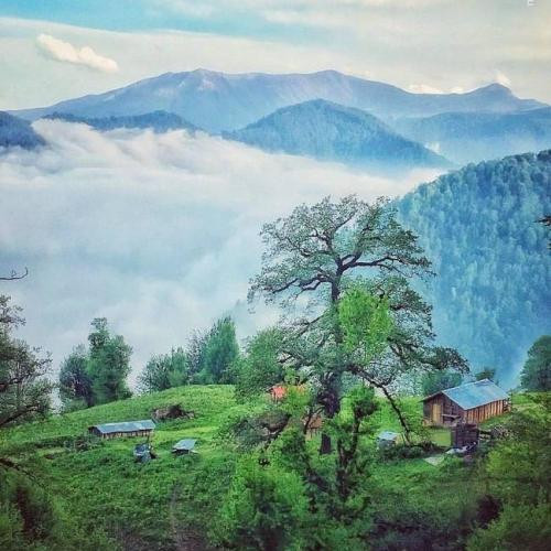 دانلود آهنگ میزنم قدم تو این خیابونا دستامم یخ زده از نبودنت 