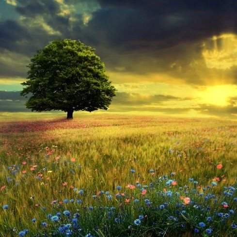 دانلود آهنگ تکی وایسادم تو بازی هیترا همه حرصی دارن آرتا