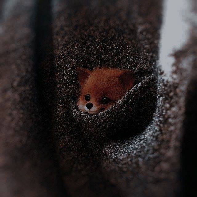 دانلود آهنگ وقتی‌ من میگم شب تو میگی‌ روز من میگم بده تو میگی‌ خوب میدونستم یه روز میری زود آرتا