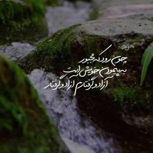 دانلود آهنگ آتیش زدی بال پروانه رو شاید بسوزه این جنگل یه روز 