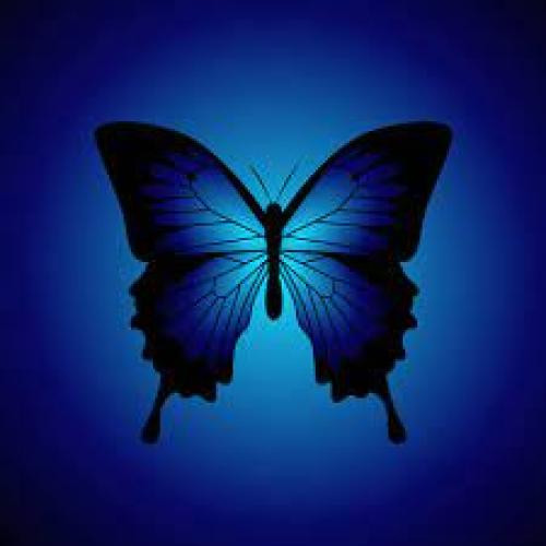 دانلود آهنگ پروانه آبی نمونده راهی عین یه خوابی توی بیداری unknown