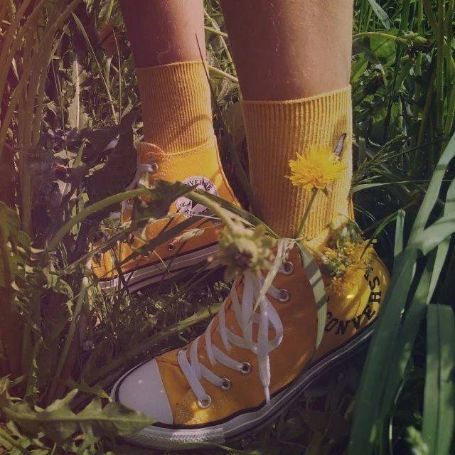 دانلود آهنگ هنوزم زندم بی تو نرفتم از دست ولی هر جا میرم این دل لعنتیم میگیره شایان یو