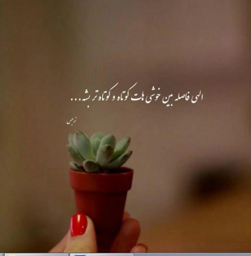 دانلود آهنگ سلامتی صاب تول دست جیغ ماچ بغل تالک داون