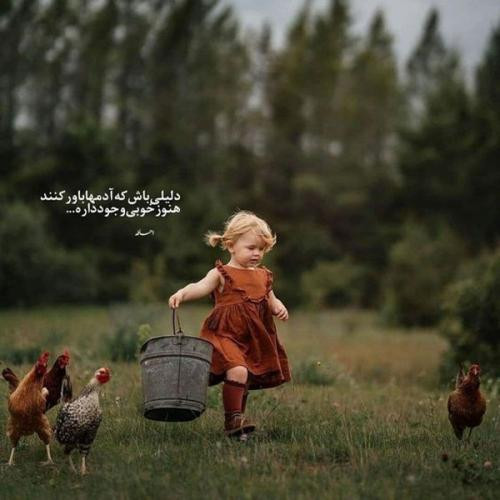 دانلود آهنگ من دیگه نیستم نیا کارد بزنیم دیگه خون در نیاد لنا