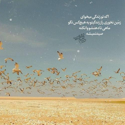 دانلود آهنگ ناز کده بیا موها ره باز کده بیا جاوید شریف
