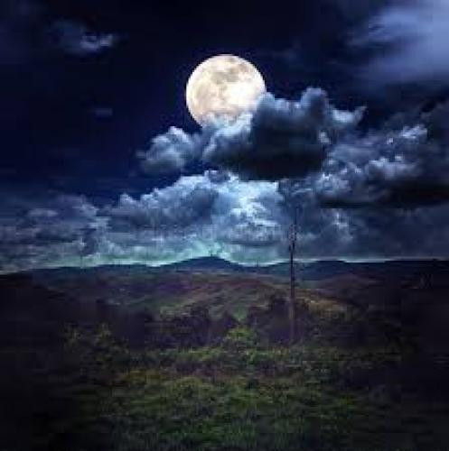 دانلود آهنگ بگو تو حسی که دارمو داری منو تو لیوان شراب خالی