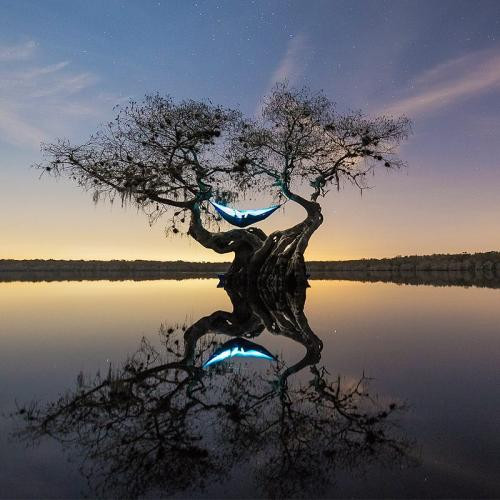 دانلود آهنگ هرچی نباید میشدو شدو هرکار نباید میکردی کردی نباید میرفتی رفتی 