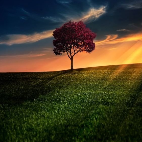 دانلود آهنگ سر تا پام برنده میگن دشمنا فیکه ارزش نداری هم بکنم دو خط حیفت آرتا