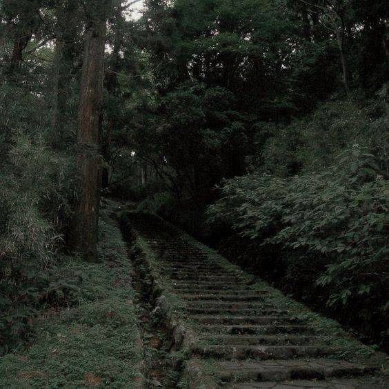 دانلود آهنگ بگو چی شد بینمون همه چی مرد نبودی تو دل من روانی شد 