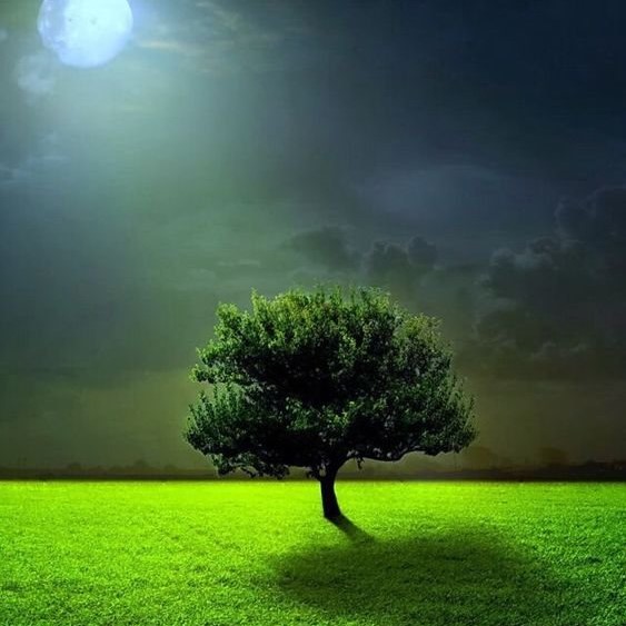 دانلود آهنگ بیا میگذره سخت بی معرفت برام دلت نیست مگه تنگ